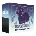 pokemon-karten-silberne-sturmwinde-top-trainer-box-deutsch